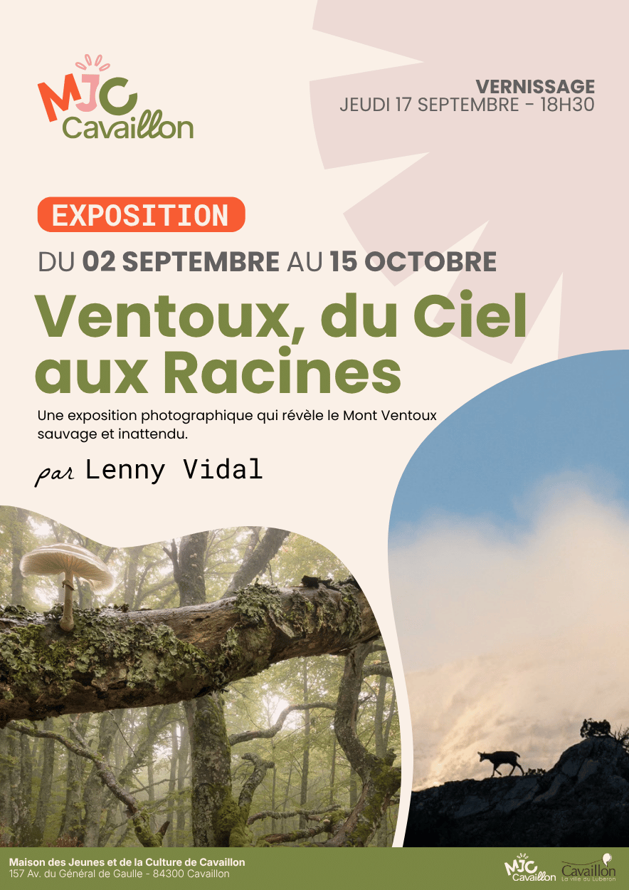Affiche Expo Lenny Vidal
